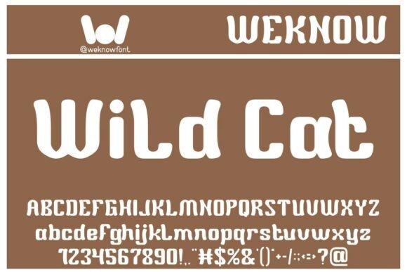 Wild Cat: A Funky Typeface for Bold Branding and Visual Impact